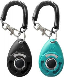 clicker-for-dog-training-1-252x300