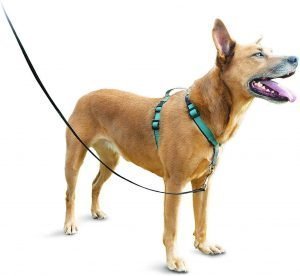 front-clip-thin-strap-dog-harness-1-300x276