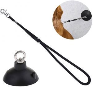 grooming-tub-restraing-300x280