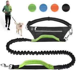hands-free-dog-leash-1-300x273