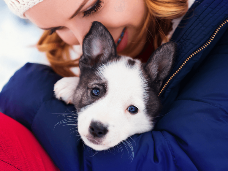how-to-train-a-dream-dog-happy-puppy-owner-768x576