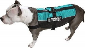 in-training-dog-training-vest-1-300x171