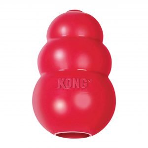 kong-classic-dog-toy-1-300x300