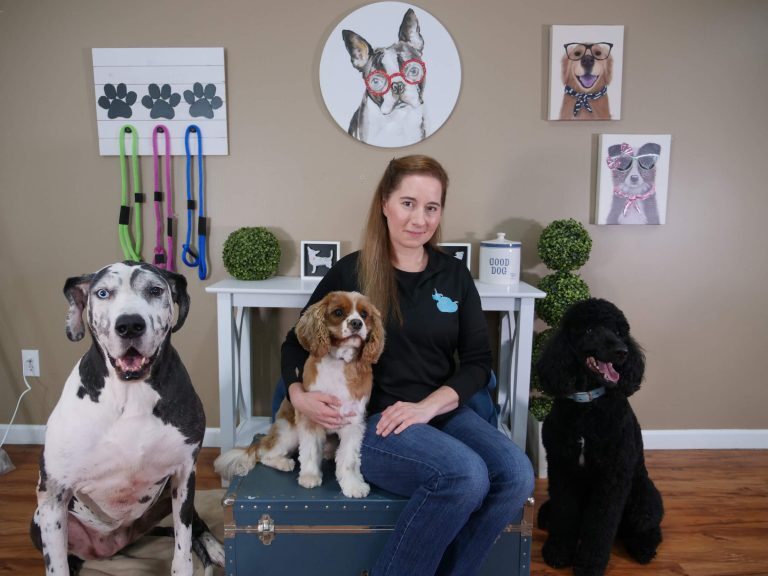 leady with dogs image 01