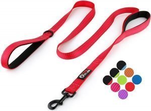 long-double-handle-leash-1-300x221