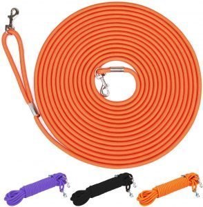 long-leash-1-294x300