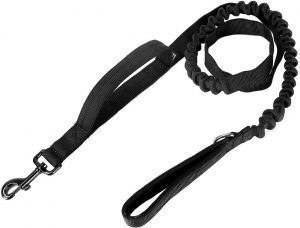 short-double-handle-leash-1-300x228