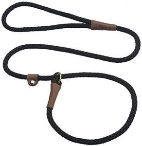 slip-lead-leash-1-292x300